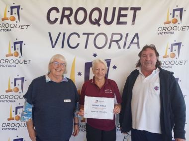 goldsilverbronzeFeb25
