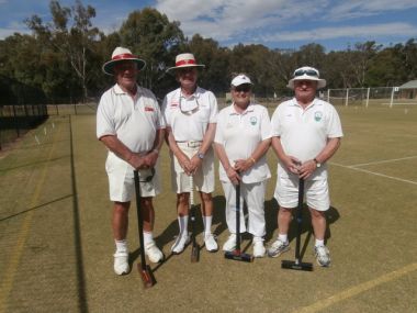croquet_nov_2015_022_-_Copy.jpg