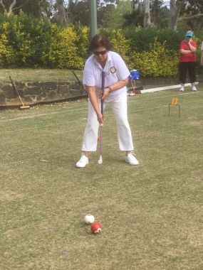 Bear Cup at Kew, October 2019
Deb K
