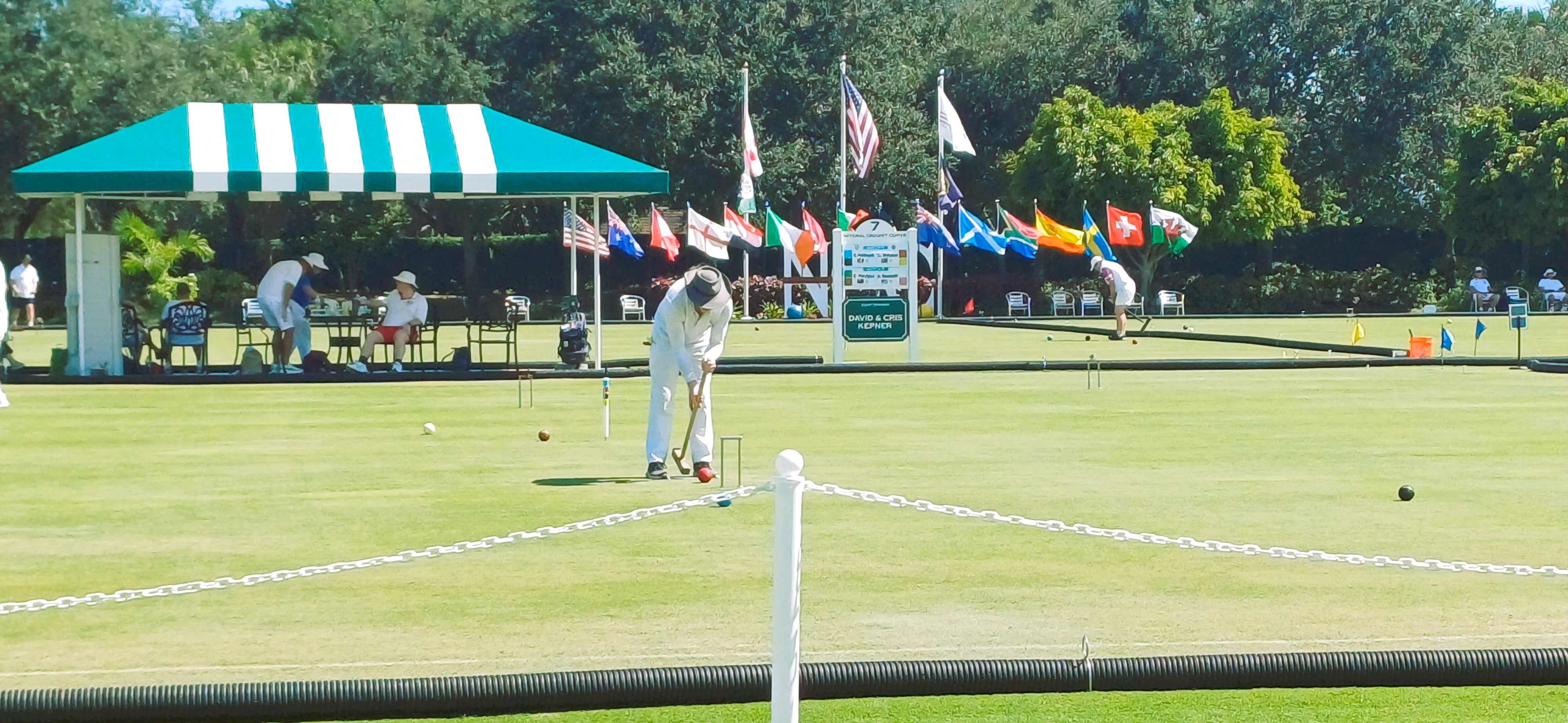 Players flags