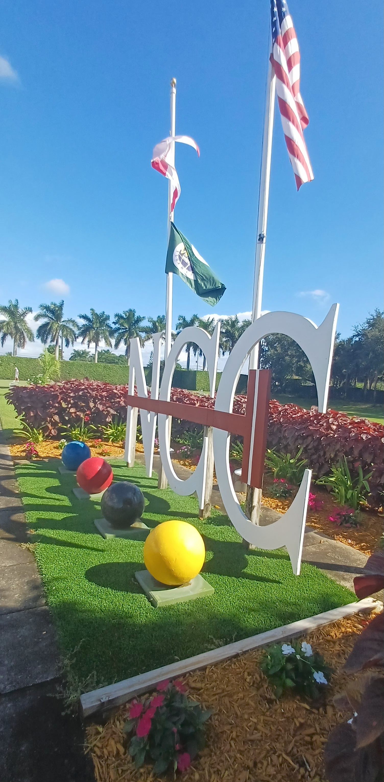 flags