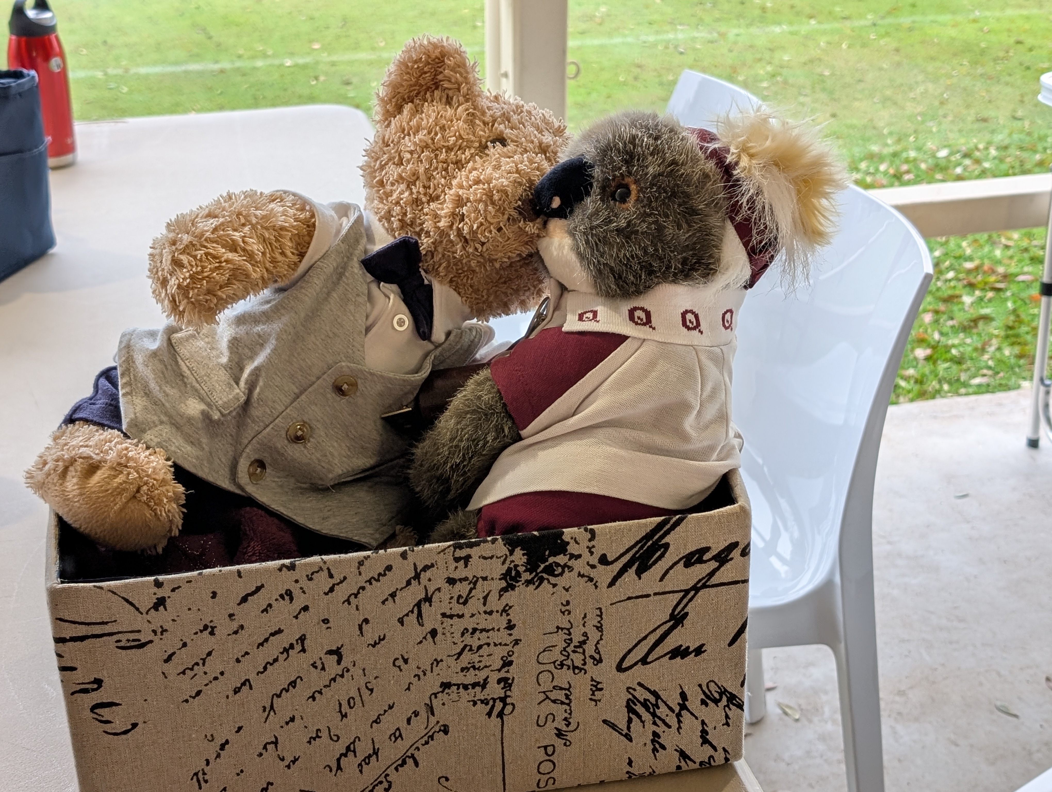 teddy bears